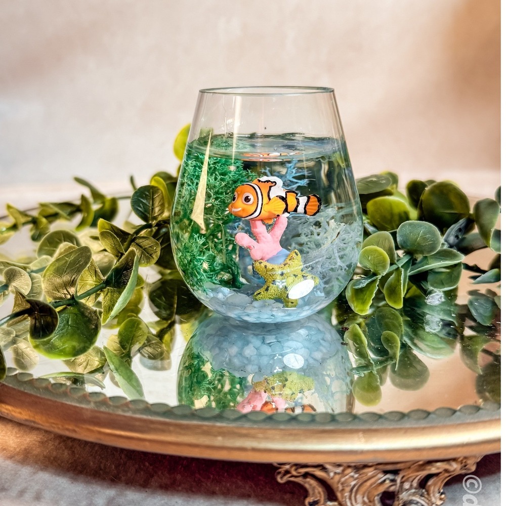 Mini Clown Fish Aquarium